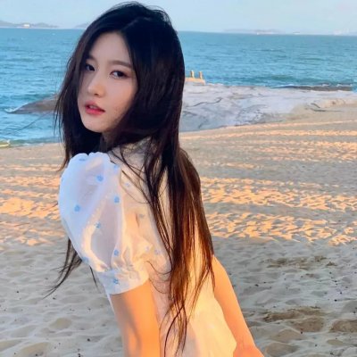 爱犬情深